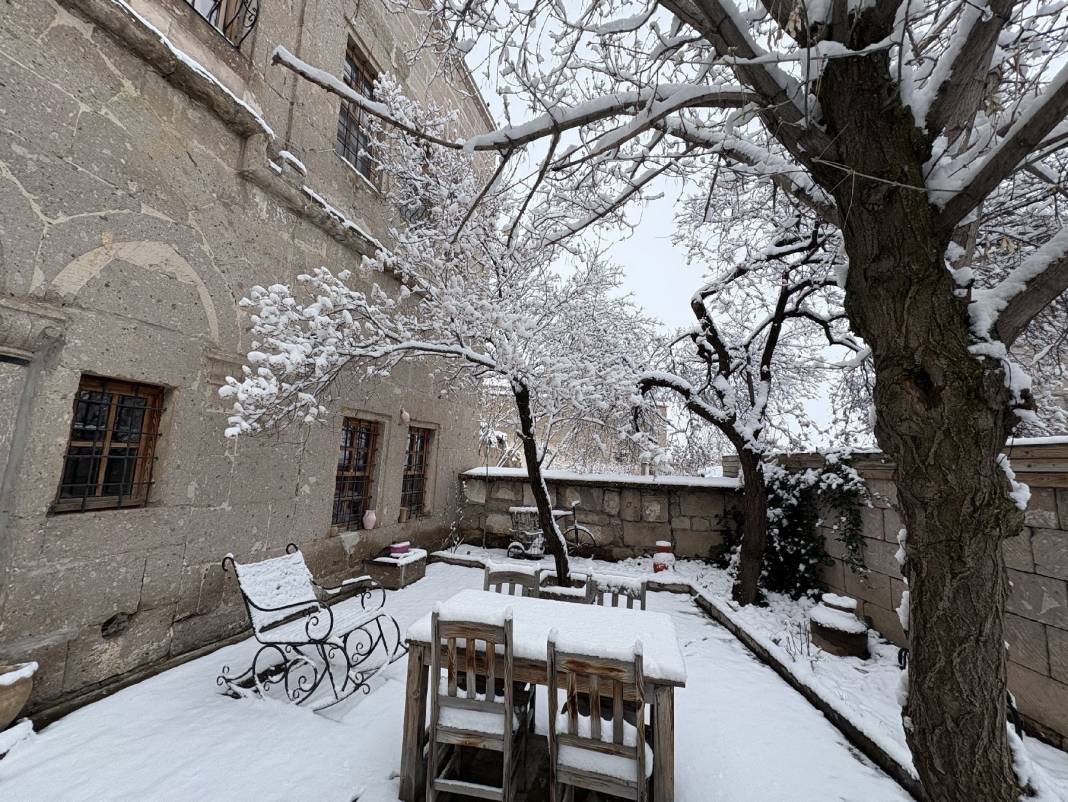 Vatandaş hem sevindi, hem üzüldü! Aksaray'da çiçek açan ağaçlar beyaza büründü 1